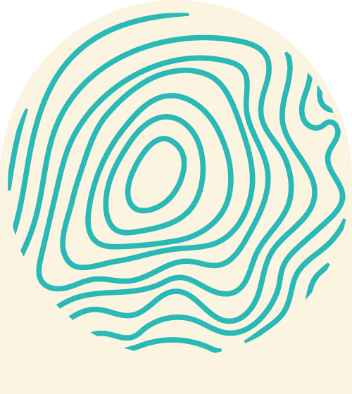 Blue topographic lines in circle.